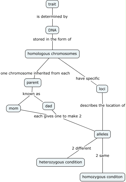 Inheritance Terms How Are Traits Passed To Offspring 